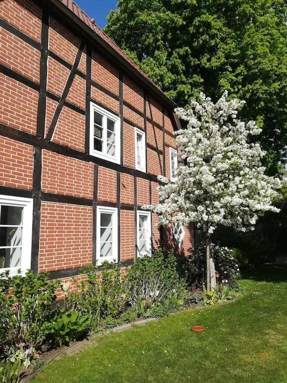 Apartment In Ruhiger Wohnlage Sie Sind In 3 Minuten Am Trebbower See Oder In 30 Minuten An Der Ostsee Klein Trebbow Exteriér fotografie